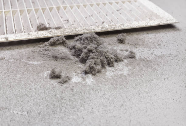 Best Affordable Air Duct Cleaning  in Winston, OR
